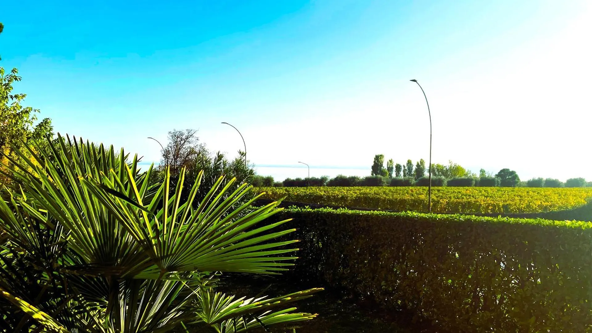 Lilly House Apartamento Moniga del Garda